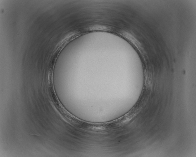 X0000083030157200702020926