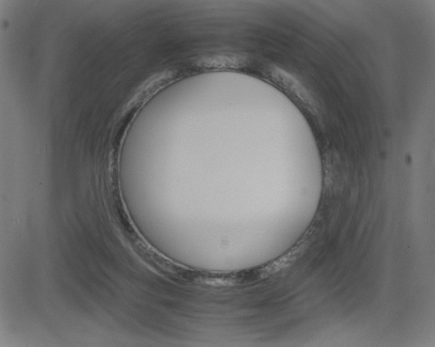 X0000083030163200702020926
