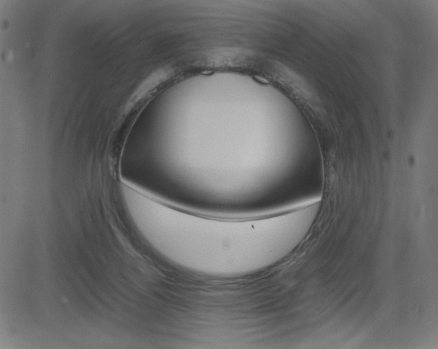 X0000083030164200702020926
