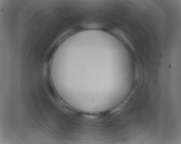 X0000083030167200702020926