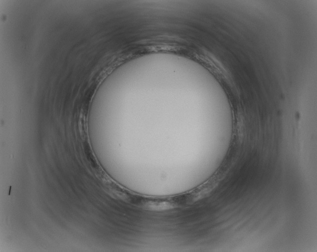 X0000083030169200702020926
