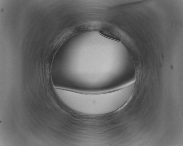 X0000083030170200702020926