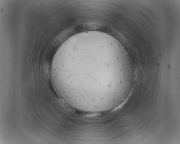 X0000083030178200702020927