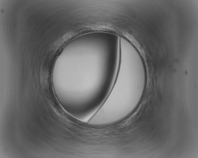 X0000083030201200702020926