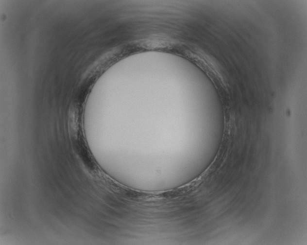 X0000083030210200702020926