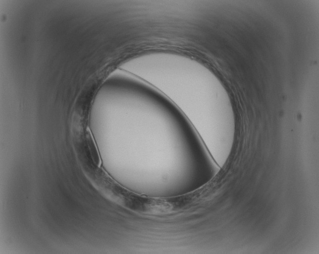 X0000083030215200702020926