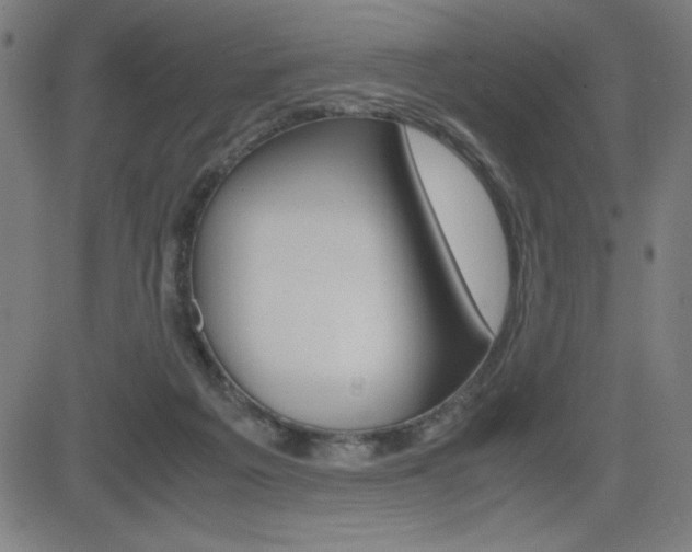 X0000083030217200702020926