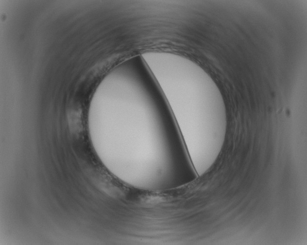 X0000083030224200702020926