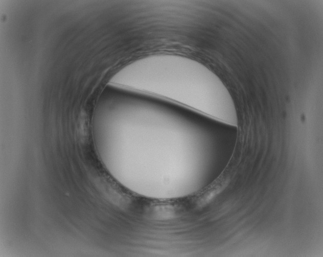 X0000083030228200702020926