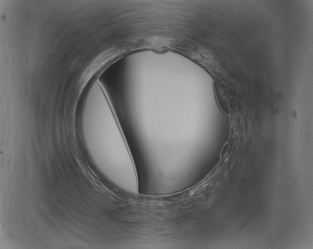 X0000083030242200702020925