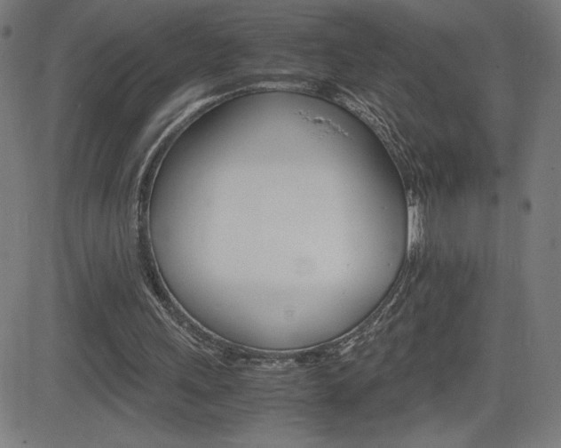 X0000083030243200702020925