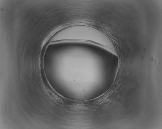 X0000083030244200702020925