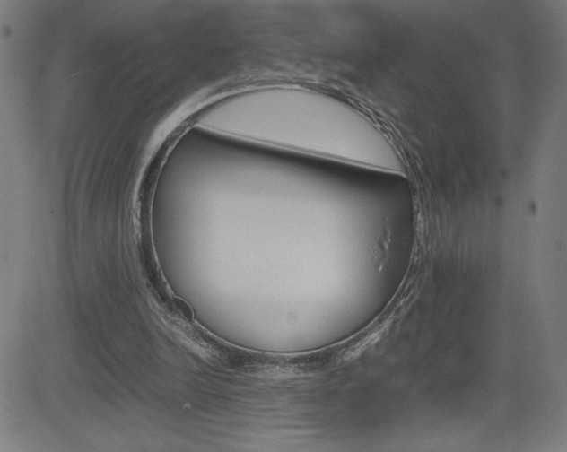 X0000083030246200702020925