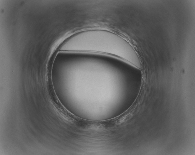 X0000083030248200702020925