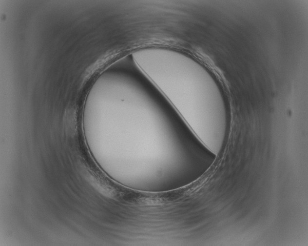 X0000083030250200702020925
