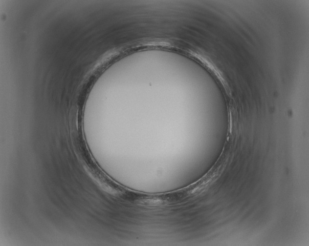 X0000083030253200702020925