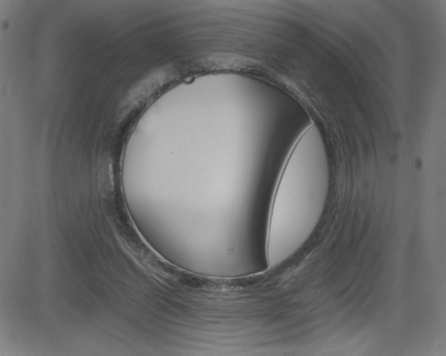 X0000083030254200702020925