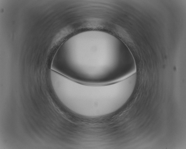 X0000083030256200702020925