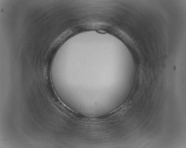 X0000083030258200702020925