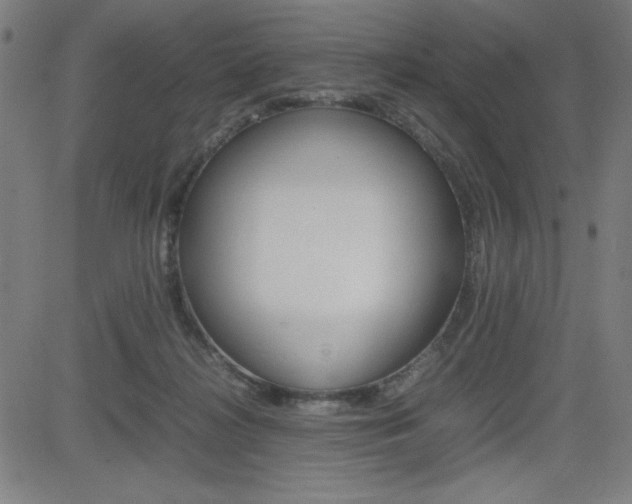 X0000083030268200702020925