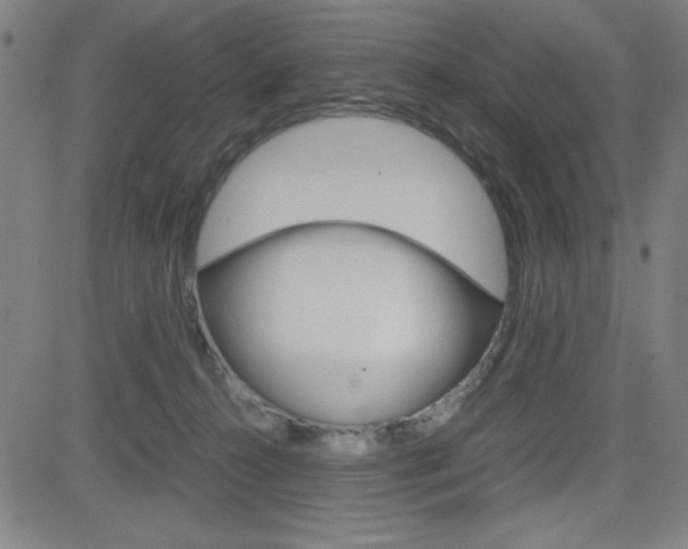 X0000083030272200702020925