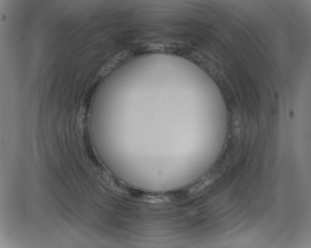 X0000083030275200702020925