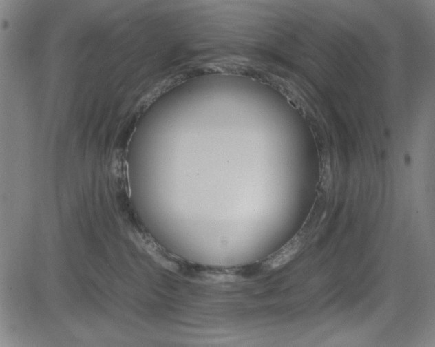 X0000083030284200702020925