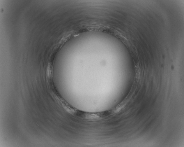 X0000083030287200702020925