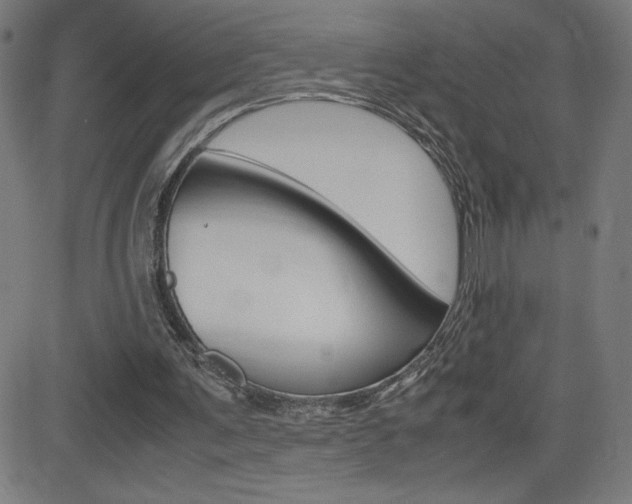X0000083030291200702020924