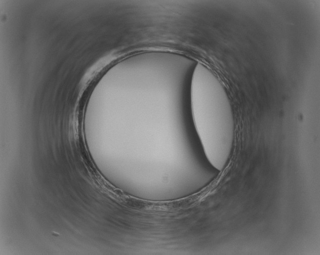 X0000083030294200702020924