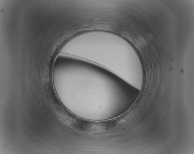 X0000083030303200702020924