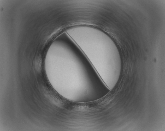 X0000083030304200702020924