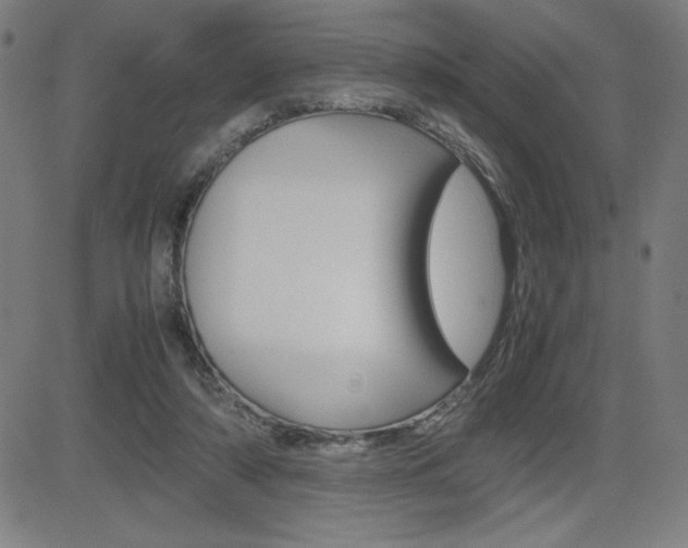 X0000083030306200702020924
