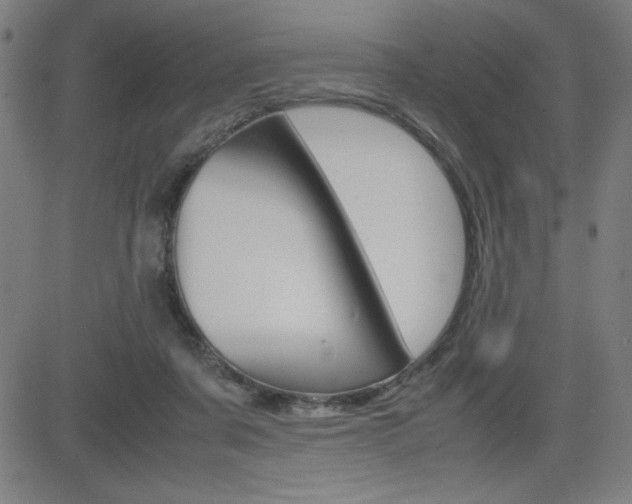 X0000083030311200702020924