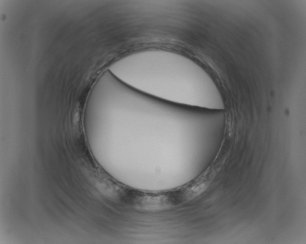 X0000083030314200702020924