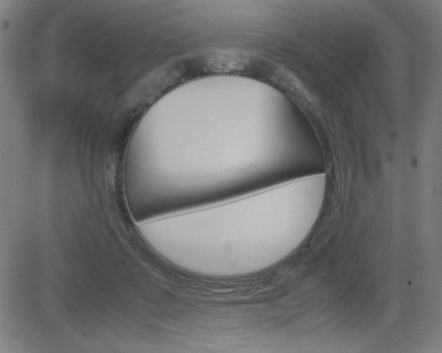 X0000083030315200702020924