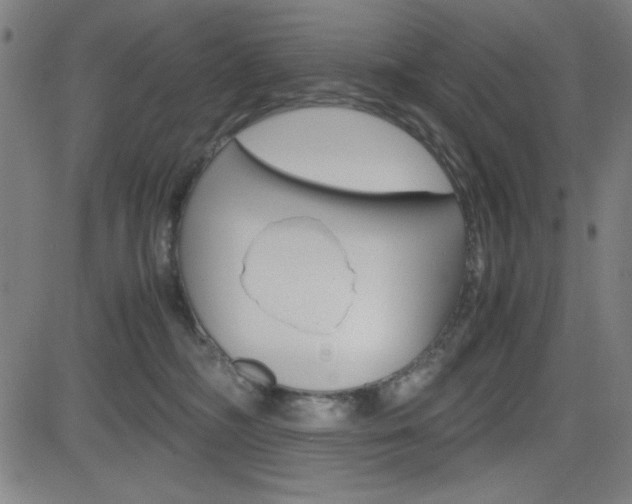 X0000083030326200702020924
