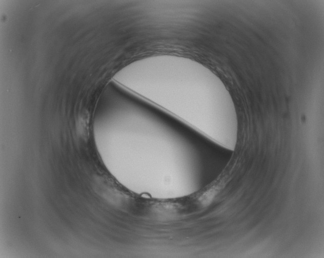 X0000083030332200702020924