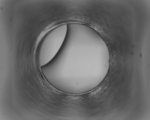 X0000083030343200702020923