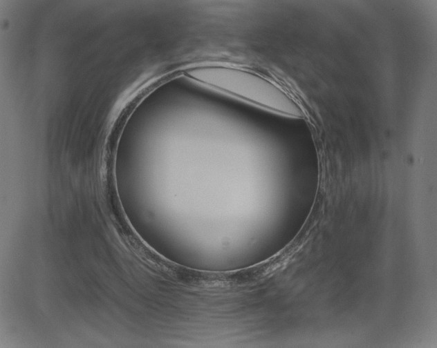 X0000083030344200702020923