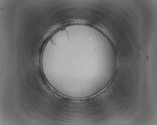 X0000083030347200702020923