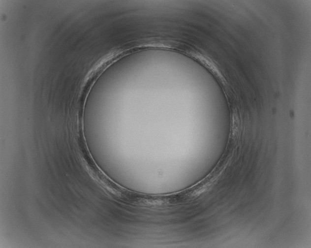 X0000083030349200702020923
