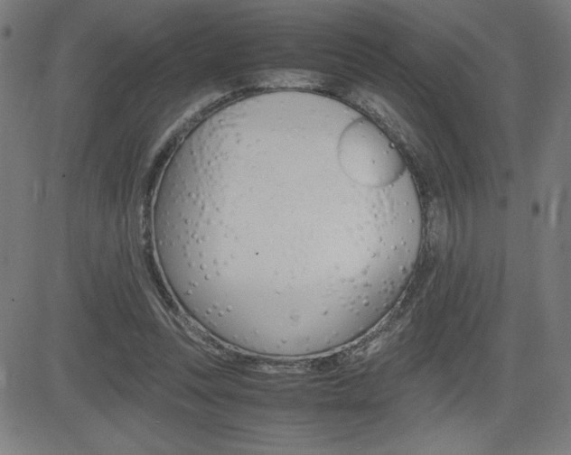 X0000083030351200702020923