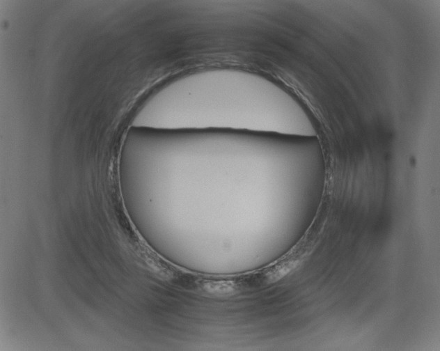 X0000083030355200702020923