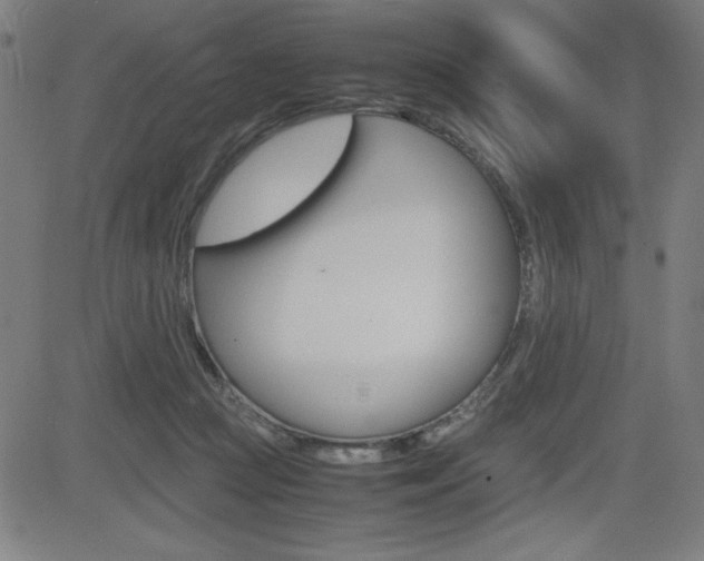 X0000083030361200702020923