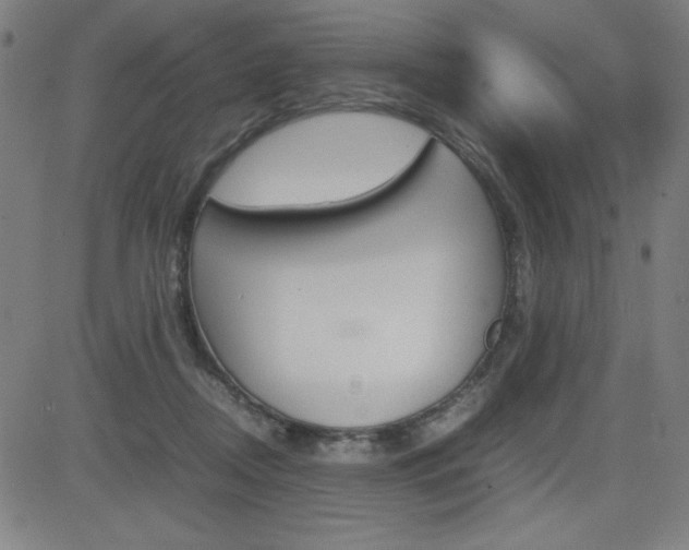X0000083030362200702020923