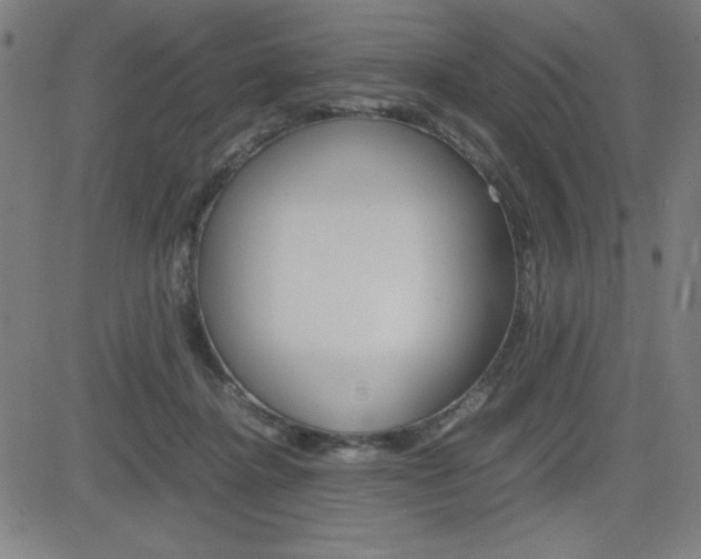 X0000083030364200702020923