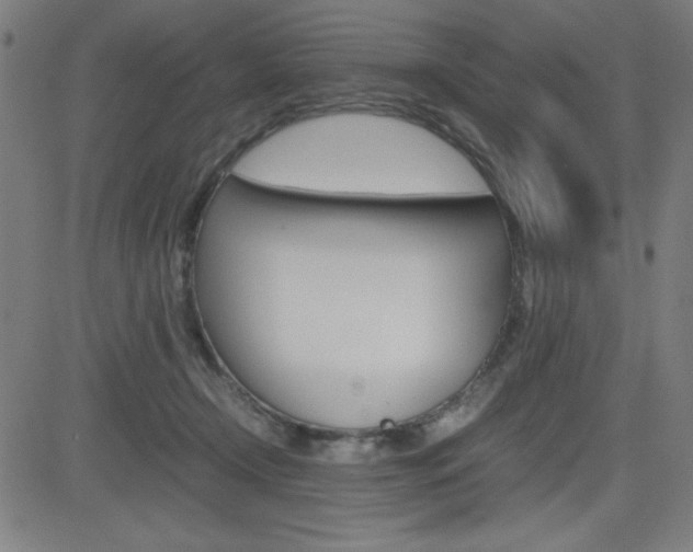 X0000083030366200702020923