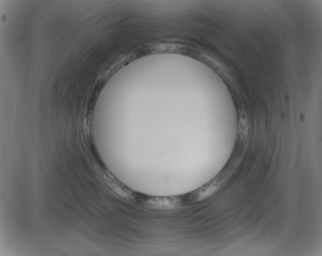 X0000083030381200702020924