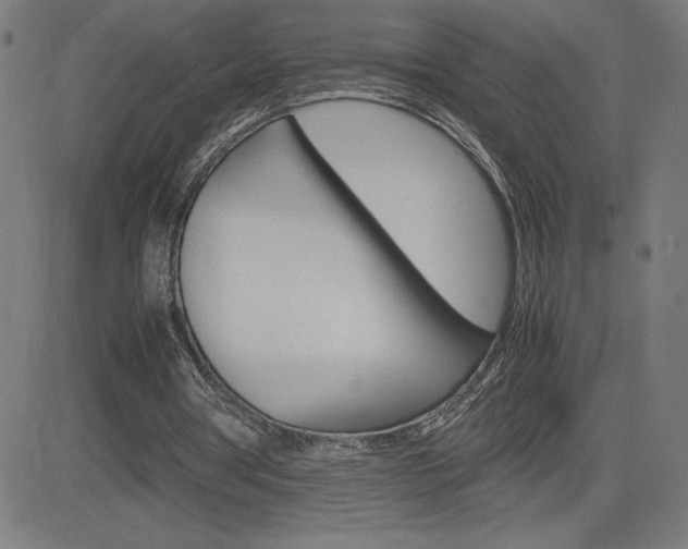X0000083030386200702020923